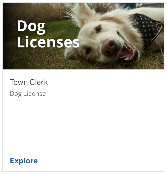 An image of the dog licensing portal.