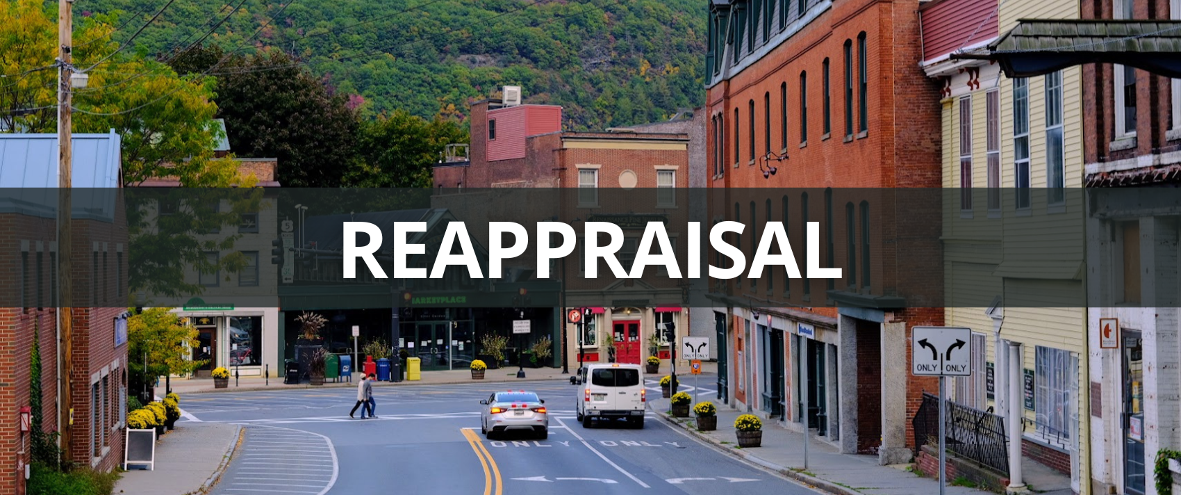 A banner link to the Reappraisal project page.